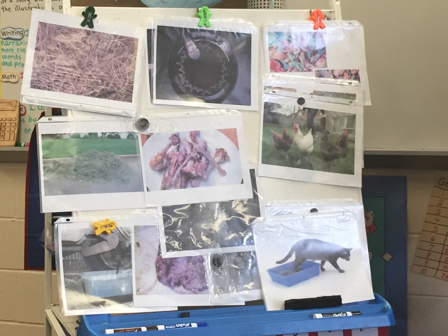 A display of pictures showing some examples of items that can be composted and other items that cannot. 