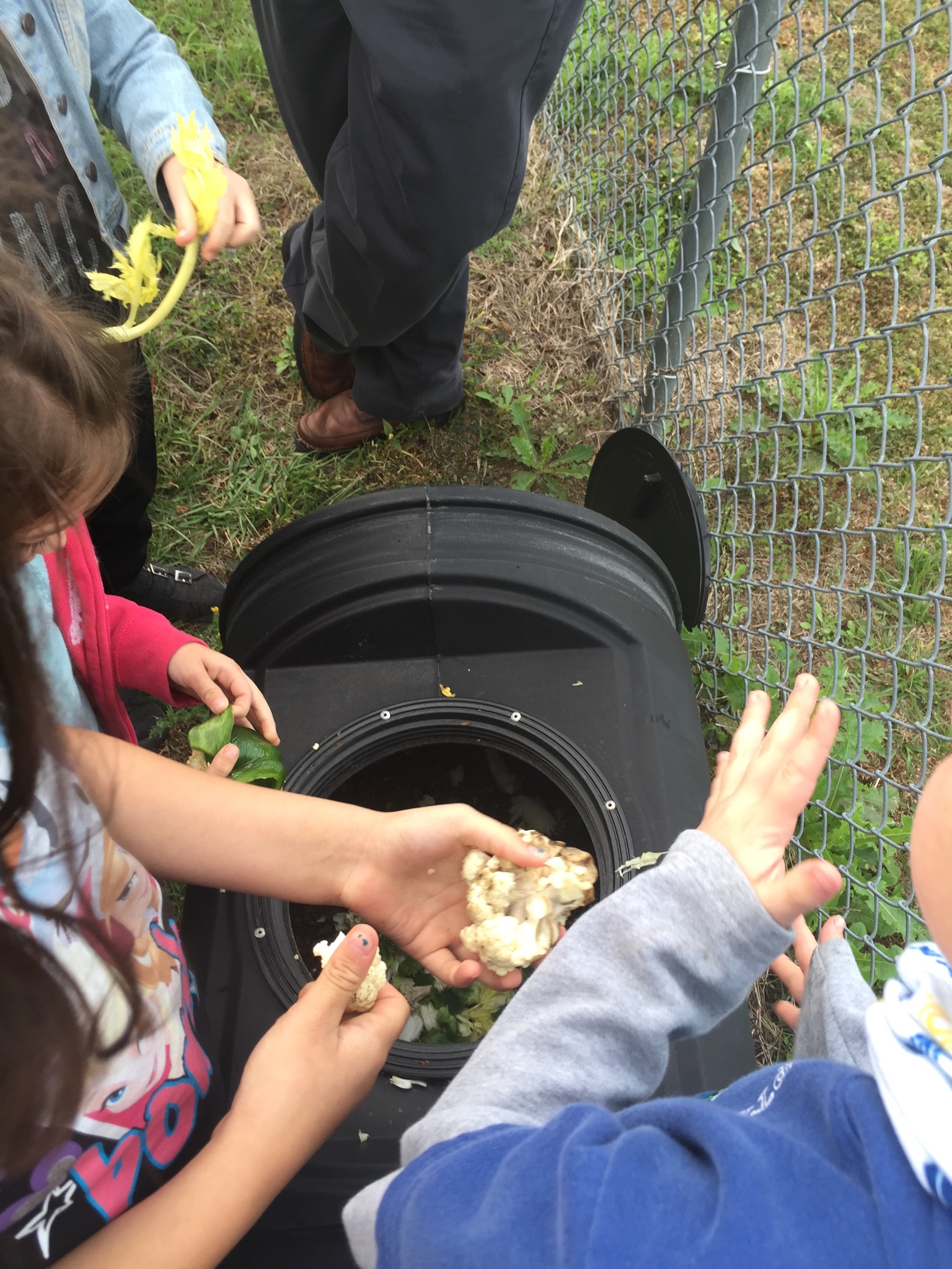 students putting food scraps in compost bin